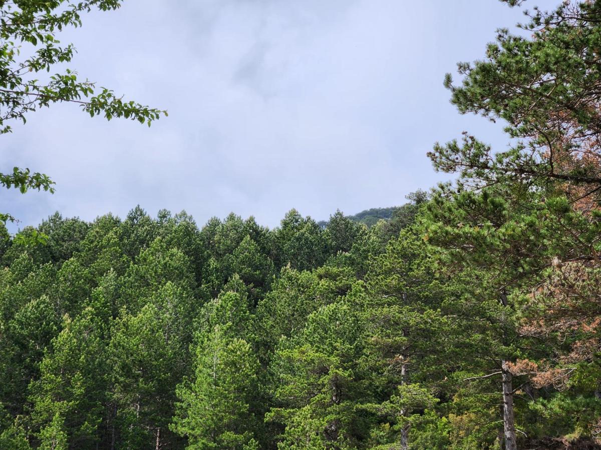 Llogora Dervishaliu Hotel Llogara National Park Экстерьер фото