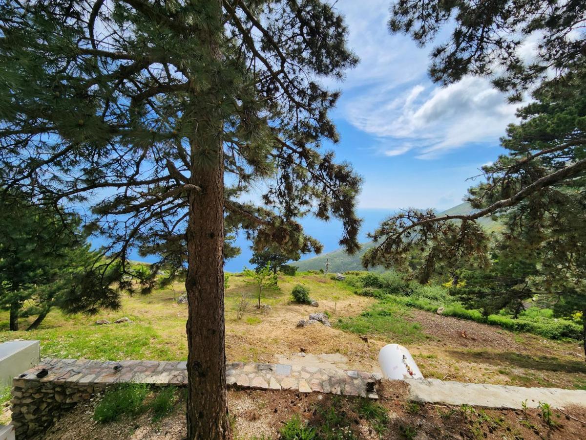 Llogora Dervishaliu Hotel Llogara National Park Экстерьер фото
