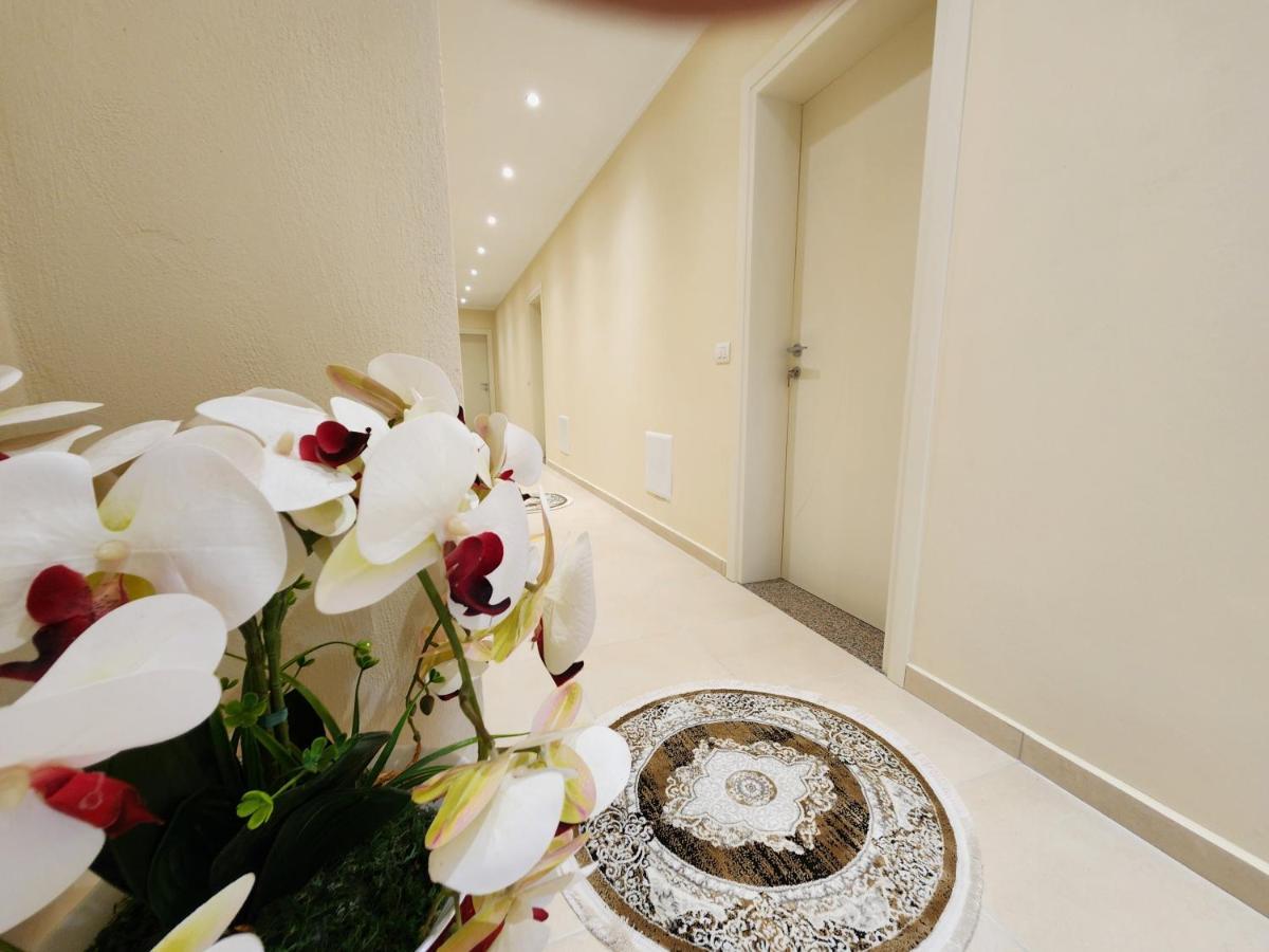 Llogora Dervishaliu Hotel Llogara National Park Экстерьер фото